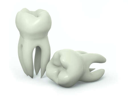 Very high resolution 3d rendering of two teeth over a white plane の写真素材