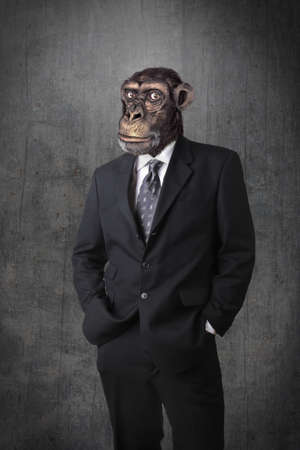 Monkey businessman Monkey businessman