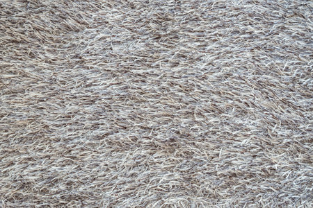 carpet. Background. Textile texture
