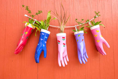 colorful plastic gloves decorated wooden wallの写真素材