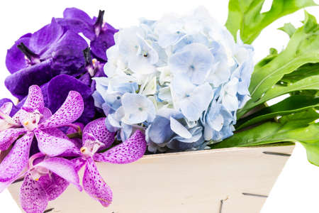 Light blue hydrangea,purple orchid flowers and leaves  in wooden box isolated on whiteの写真素材