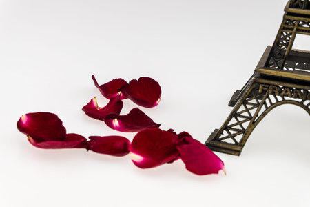 Eiffel tower with red rose on white background