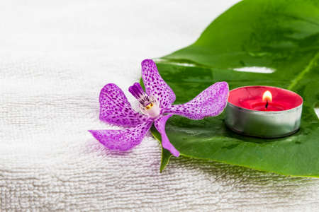 Pink mokara orchids and green leaf with red tea light candle  on white towelの写真素材