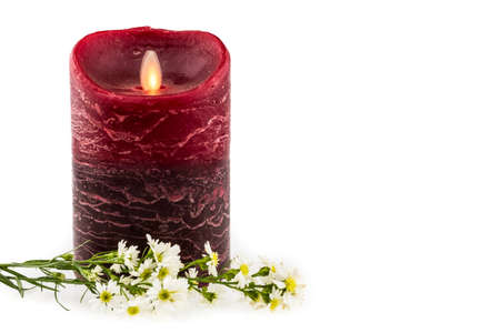White cutter flower with red/black electric candle on white backgroundの写真素材