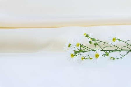 fabric silk satin and cutter flowerの写真素材