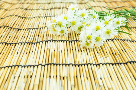 White cutter flower on bamboo backgroundの写真素材