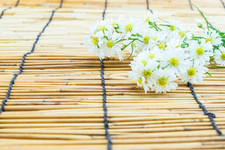 White cutter flower on bamboo backgroundの写真素材