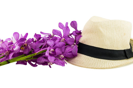 Pink mokara orchids isolated on white backgroundの写真素材