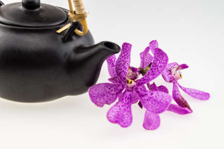 Black tea pot with Pink mokara orchids isolated on white backgroundの写真素材