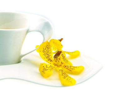 Tea cup and Mokkara yellow Orchid flower isolated on whiteの写真素材