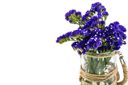 Statice flower in  glass canister isolated on whiteの写真素材