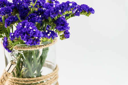 Statice flower in  glass canister isolated on whiteの写真素材