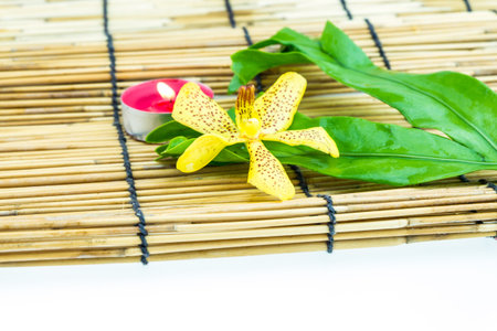 Mokkara yellow Orchid flower,green leaf and tea light candle  on bamboo backgroundの写真素材