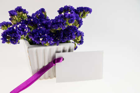 Card and Statice flower in white  ceramic vase  isolated on whiteの写真素材