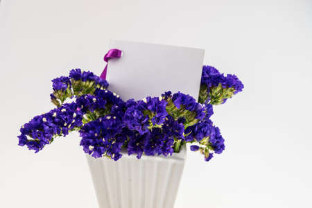 Card and Statice flower in white  ceramic vase  isolated on whiteの写真素材