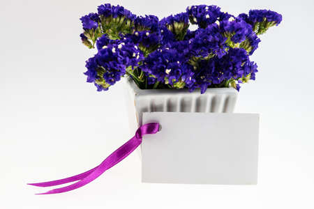Card and Statice flower in white  ceramic vase  isolated on whiteの写真素材