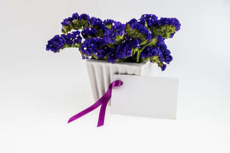 Card and Statice flower in white  ceramic vase  isolated on whiteの写真素材