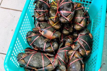 Fresh Thai sea crab in basket
