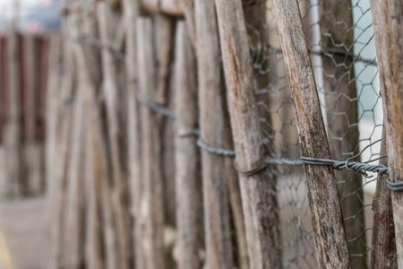 bamboo fence ,asian vintage style