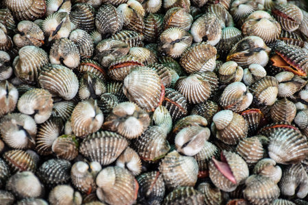 Cockles at the market ,Thailand