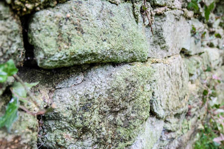 wall backgroundの写真素材