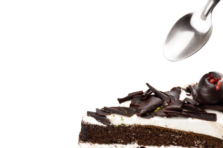 Chocolate cake sliceの写真素材