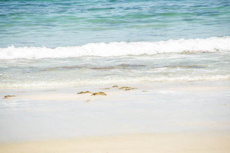 Beach in sunny day.の写真素材