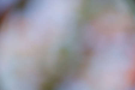 Green , blue and orange summer bokeh for backgroundの写真素材