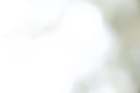 green bokeh from tree can be used as backgroundの写真素材