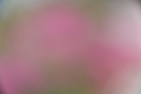 Natural green forest bokeh backgroundの写真素材