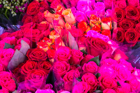 Multi color rose in the florist.の写真素材