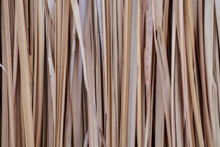 Nipa Palm thatching Background