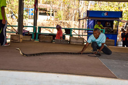 Khon Kaen,Thailand - February3,2016 -a public show in the King Cobra Village, Thailand.のeditorial素材