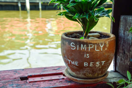 Simply is the best text writing  on tree pot put near the canal.の写真素材