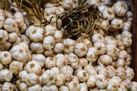 lot of fresh garlic as background.の写真素材