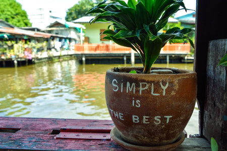 Simply is the best text writing  on tree pot put near the canal.