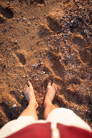 feet in shells on the sand by the seaの写真素材