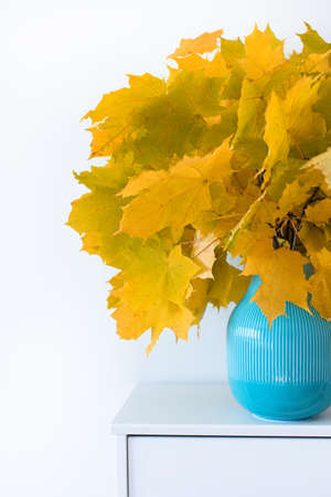 Maple leaves on the piano in a blue vase. The concept of autumn. Front view. Russia. Chekhov.の写真素材