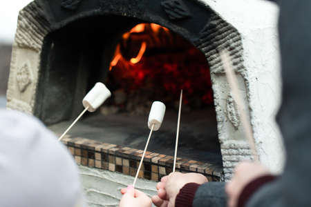 Friends roast marshmallows in a Pompeian oven in the backyard. Front view.の写真素材