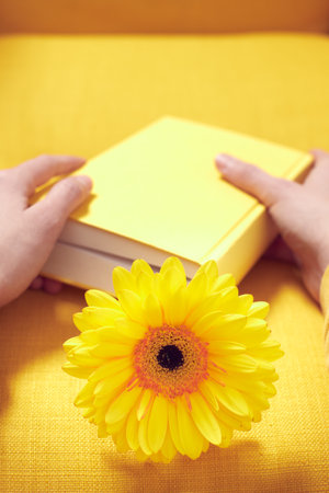 A yellow chair with a yellow book in hands in which a flower is placed. Front view. Vertical photo.の写真素材