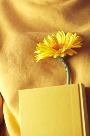 A yellow book with a flower bookmarked in the hands of a woman on a yellow sweater background. Front view.の写真素材
