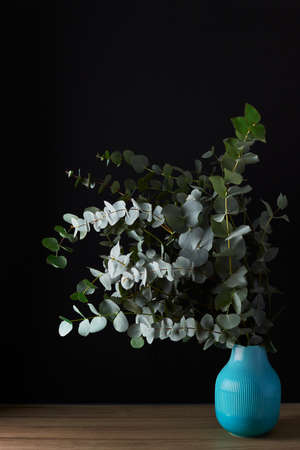Bouquet of eucalyptus leaves against the background of a black slate wall in a blue vase. Front view. Place for text, copy space, mockup.の写真素材