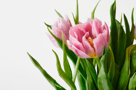 Peony-shaped tulips photo in a bouquet. Macro photo of flowers. Spring and holiday concept, gifts...