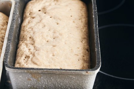 The process of making rye bread. The dough on the rye bread is laid out in a mold. End of dough...