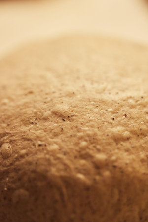 The process of making wheat bread at home. Dough shaping. The concept of healthy homemade food. Vertical photo.の写真素材