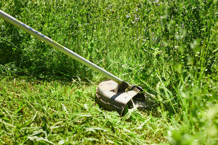 A man mows the grass in the field with a trimmer. Yard care concept. Front view.の写真素材
