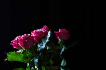 Bouquet of roses on a dark background. The concept of a gift and congratulations. Front view.の写真素材
