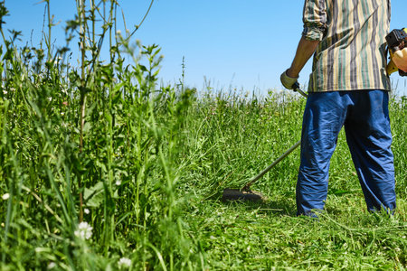 A man mows the grass in the field with a trimmer. Yard care concept. Front view.