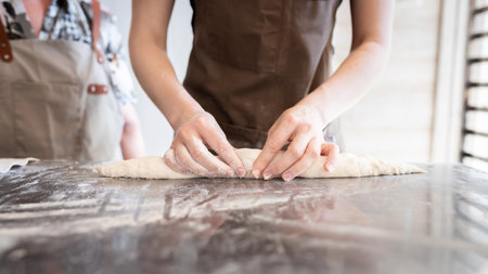 The process of making traditional French baguettes. Forming a blank from the dough. Front view.の写真素材