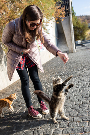 A woman feeds and plays with kittens on the embankment. Vertical photo.の写真素材